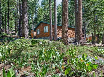 1894 Normuk Street, South Lake Tahoe, CA 96150 Photo