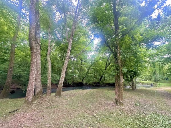 71 Creel Way, Florence, AL 35633