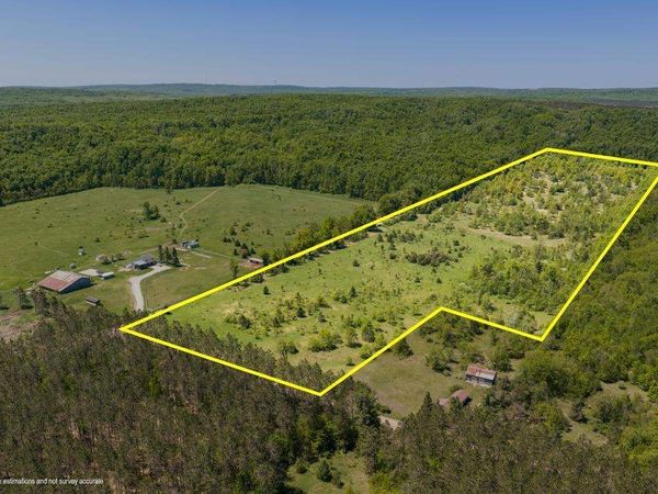 2244 Palmer Road, Pellston, MI 49769