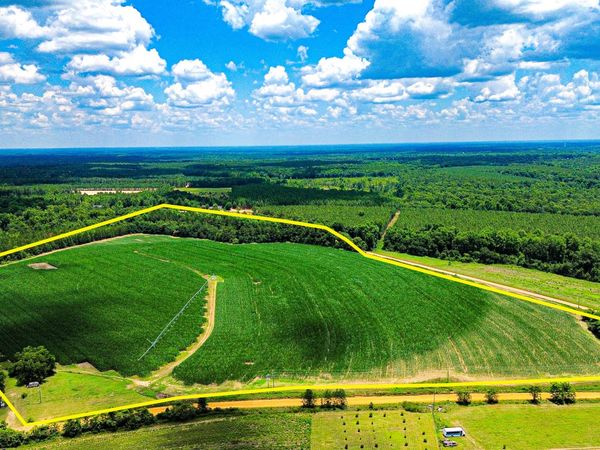 2941 J D Williams Road, Cadwell, GA 31009