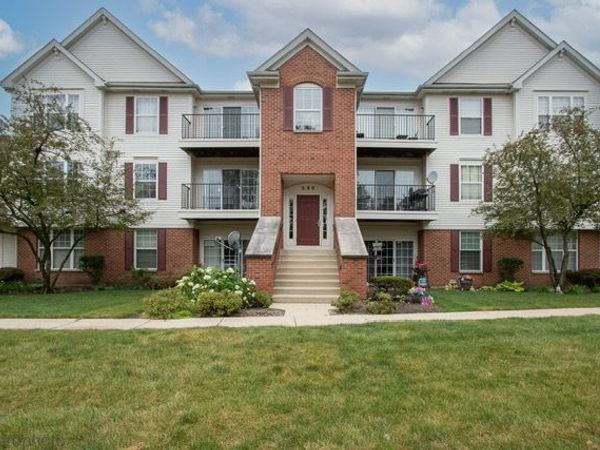 680 Mill Circle , Unit 203, Wheeling, IL 60090