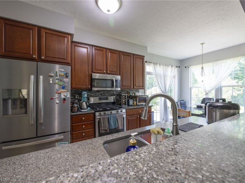 8856 Oakbrook Circle, Twinsburg, OH 44087 Photo 17