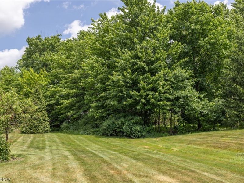 8856 Oakbrook Circle, Twinsburg, OH 44087 Photo 30