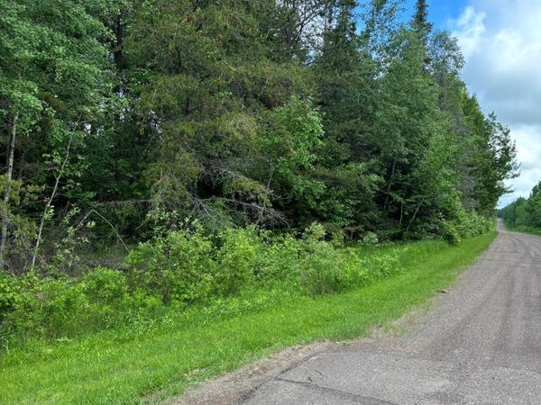 XXX Town Line Road, Bassett Twp, MN 55602