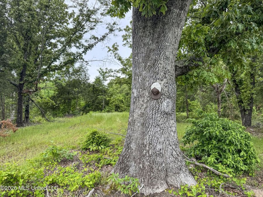 Property Image 107
