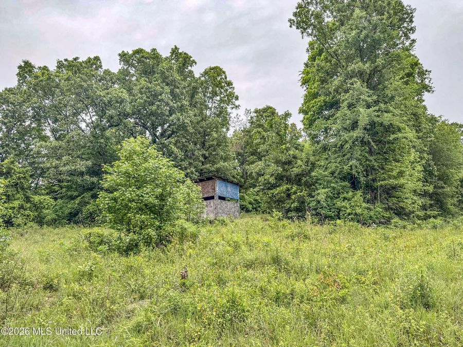 Property Image 109