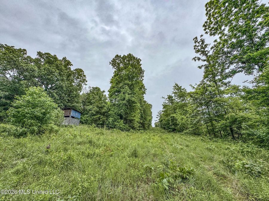 Property Image 110