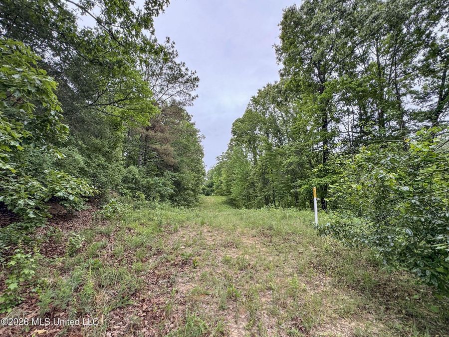 Property Image 118