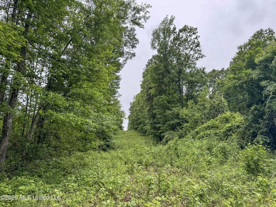 Property Image 123