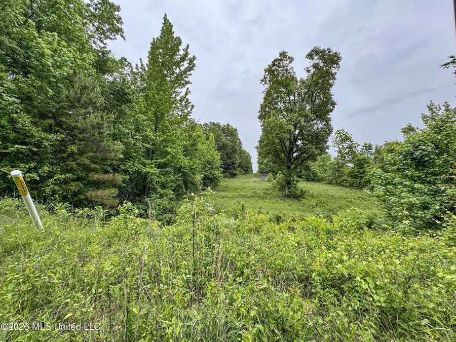 Property Image 125