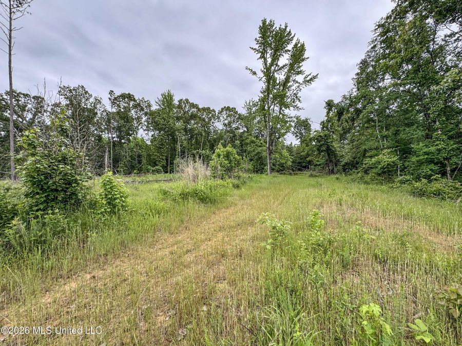 Property Image 161