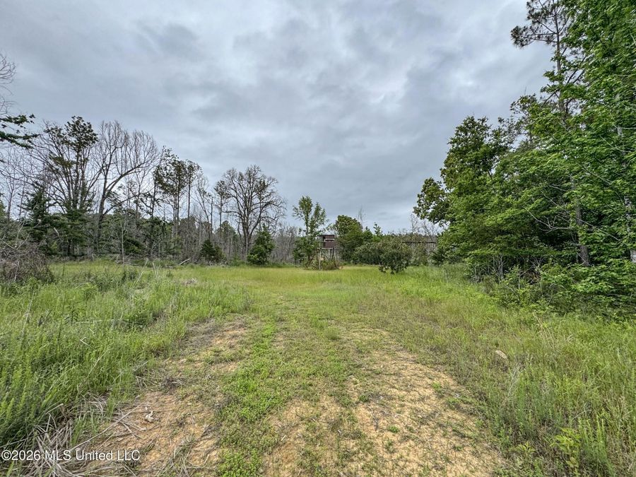 Property Image 162