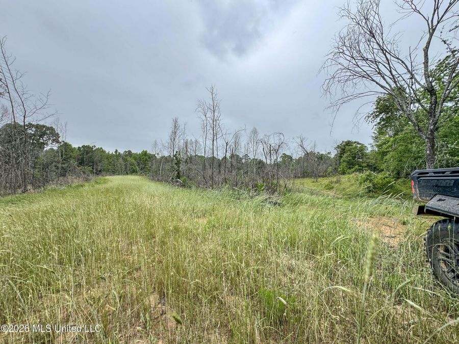 Property Image 181