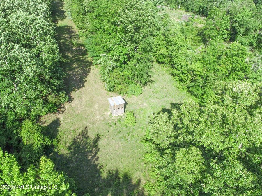 Property Image 68
