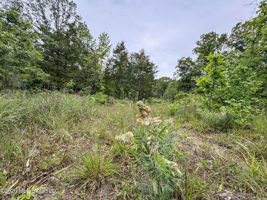 Property Image 86