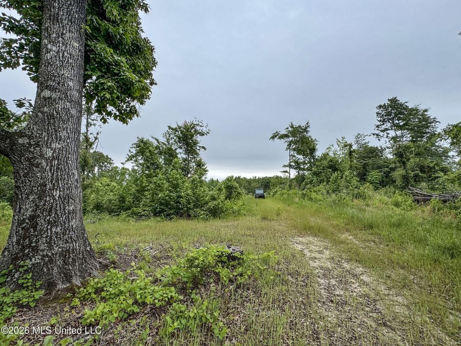 Property Image 91