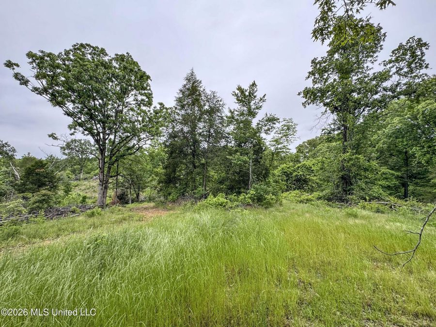 Property Image 96