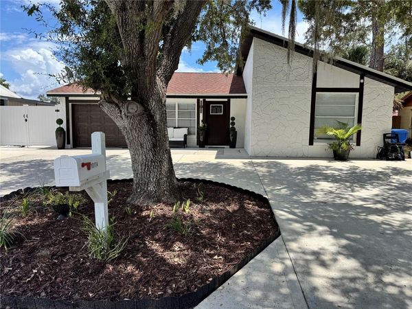 10114 BRIARWICK COURT , TAMPA, FL 33615