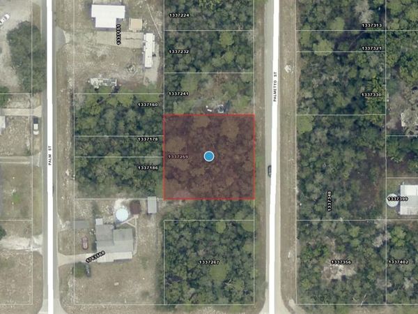 TBD PALMETTO STREET, PAISLEY, FL 32767