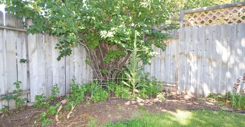 1465 Winterwood Avenue, Sparks, NV 89434 Photo