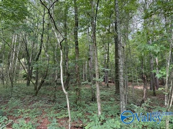 45 County Road 458, Collinsville, AL 35961
