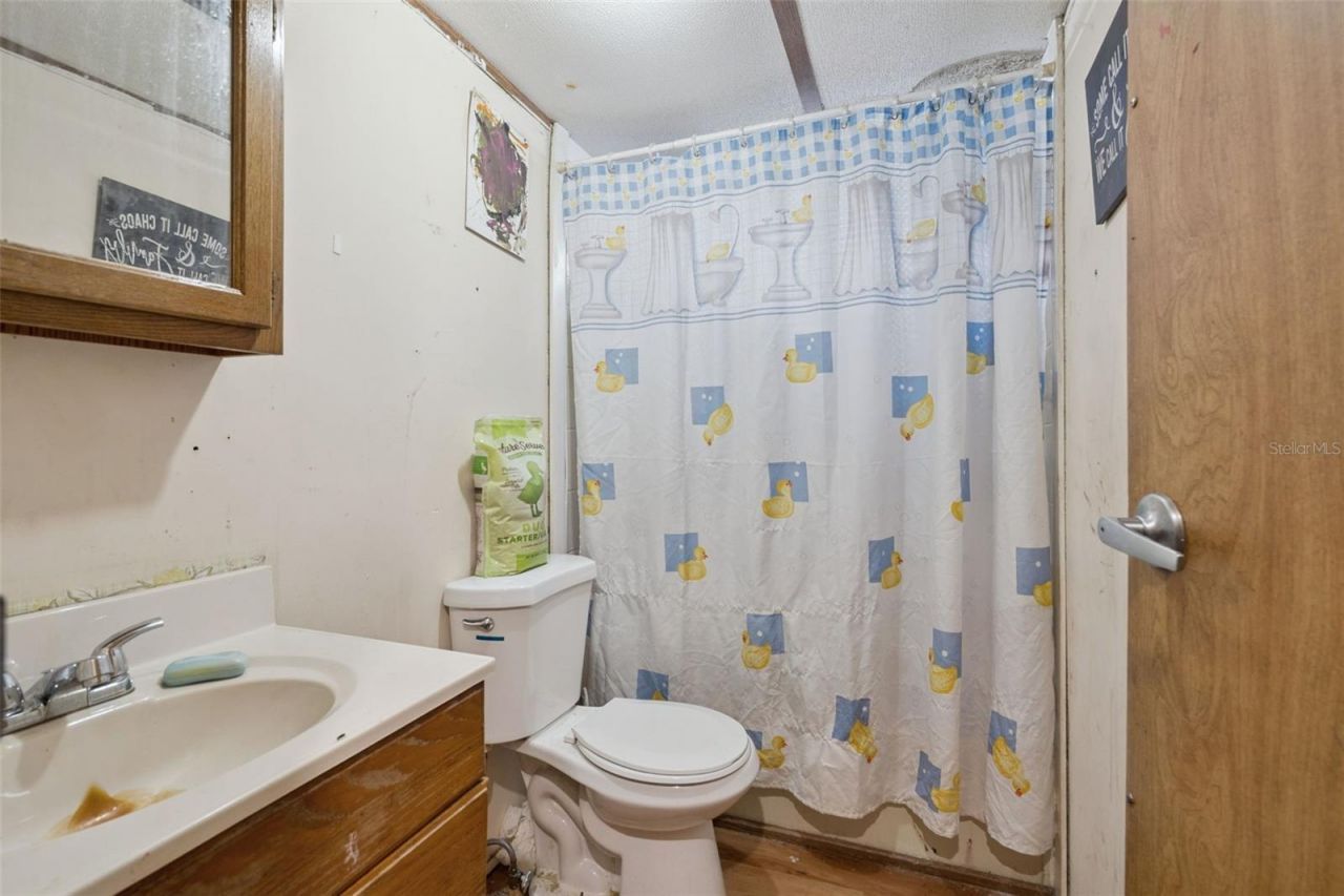 10927 Luana Drive , Leesburg, FL 34788 Photo