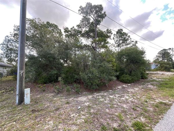 515 & 517 CONCERT DRIVE , LAKE PLACID, FL 33852