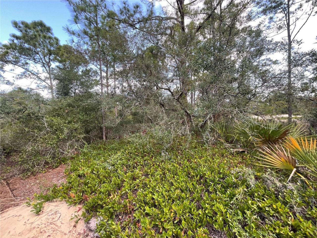 515 Concert Drive, Lake Placid, FL 33852 Photo