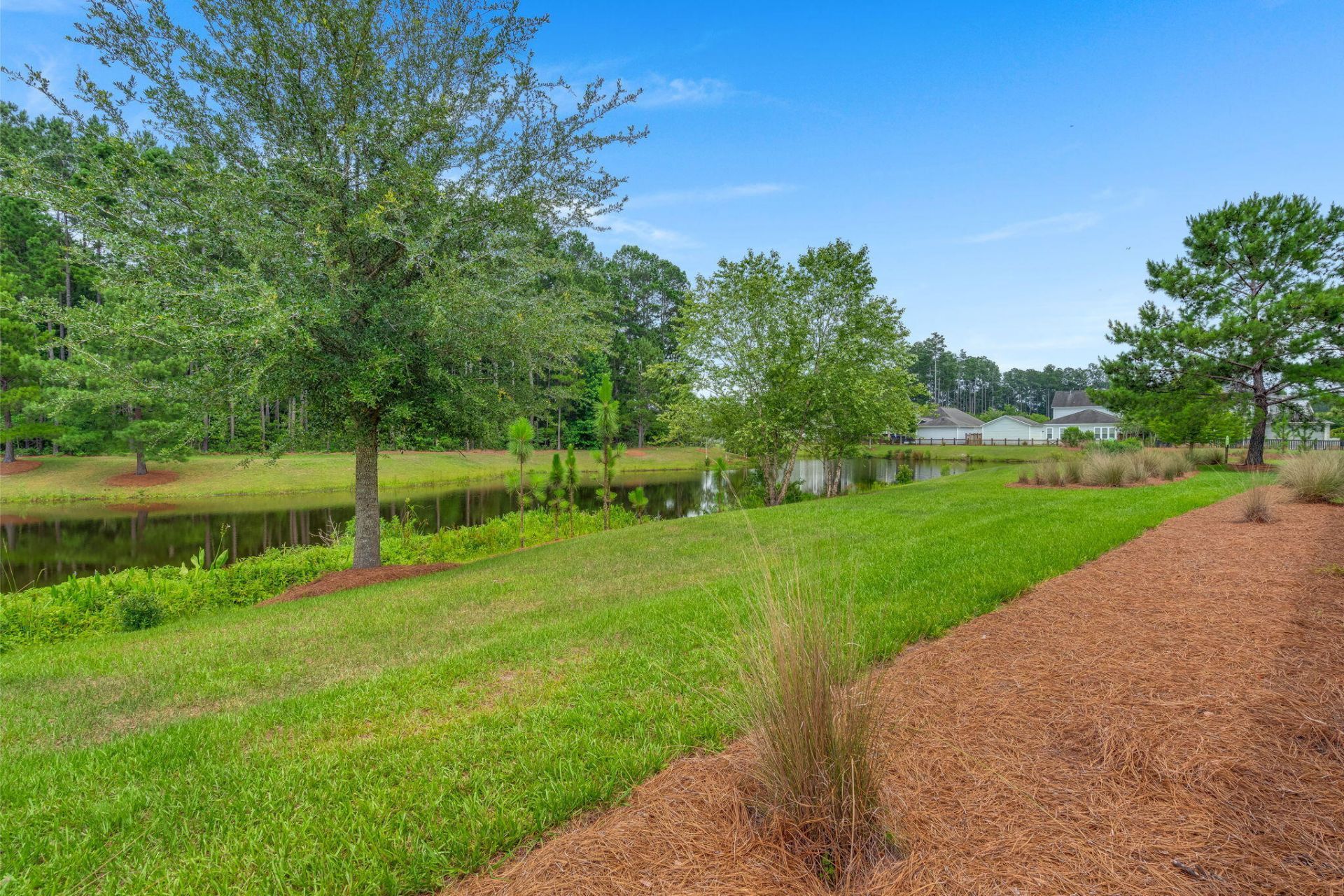 208 Oakbend Street Photo 50