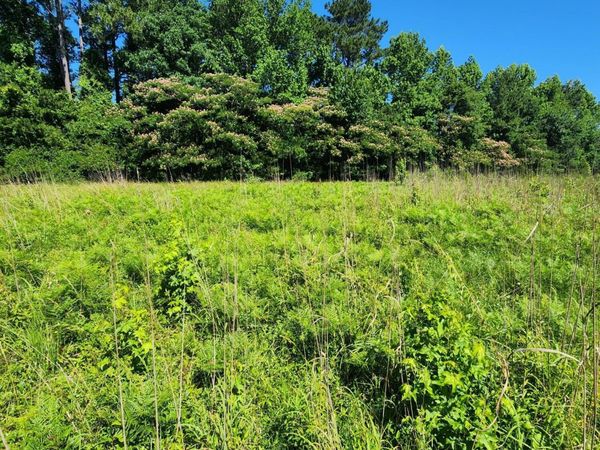 0 Walker Avenue , Washington, NC 27889