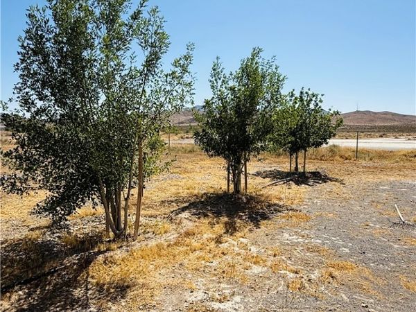 931 S Warren Street , Pahrump, NV 89048