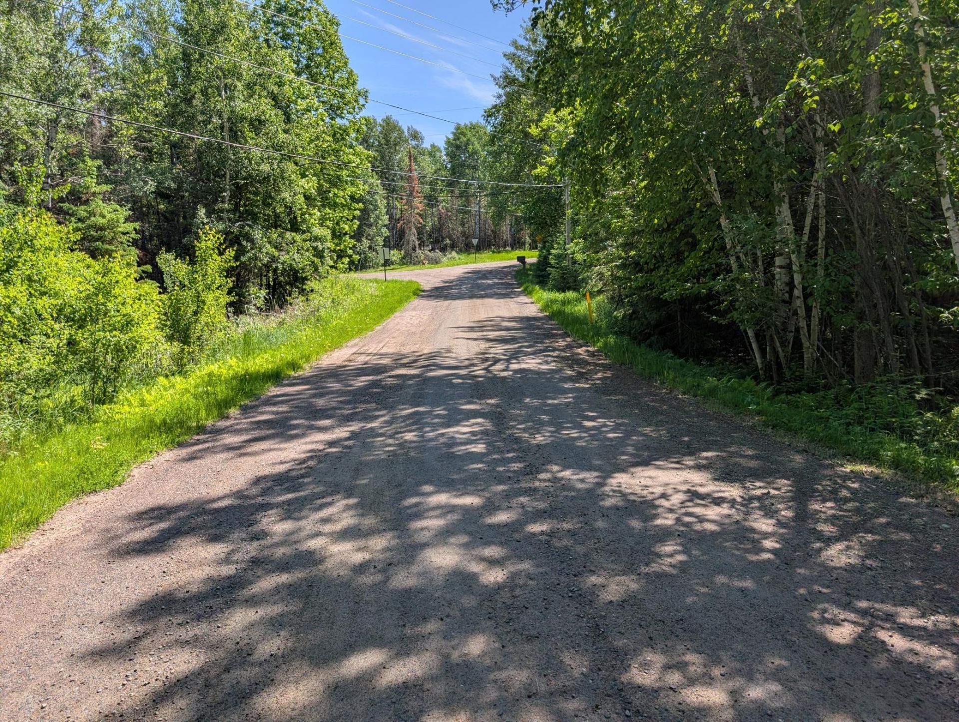 Tbd Town Road 492, International Falls, MN 56649 Main Photo