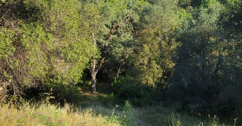 361 Canyon Falls Dr, Folsom, CA 95630 Photo