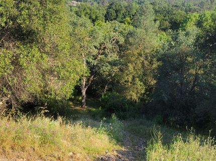 361 Canyon Falls Dr, Folsom, CA 95630 Photo