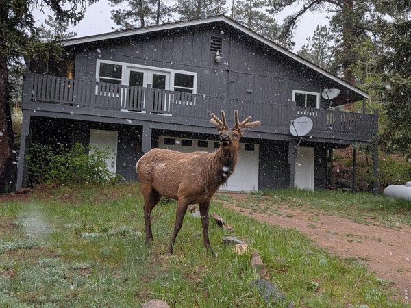 163 West Creek Rd, Glen Haven, CO 80532