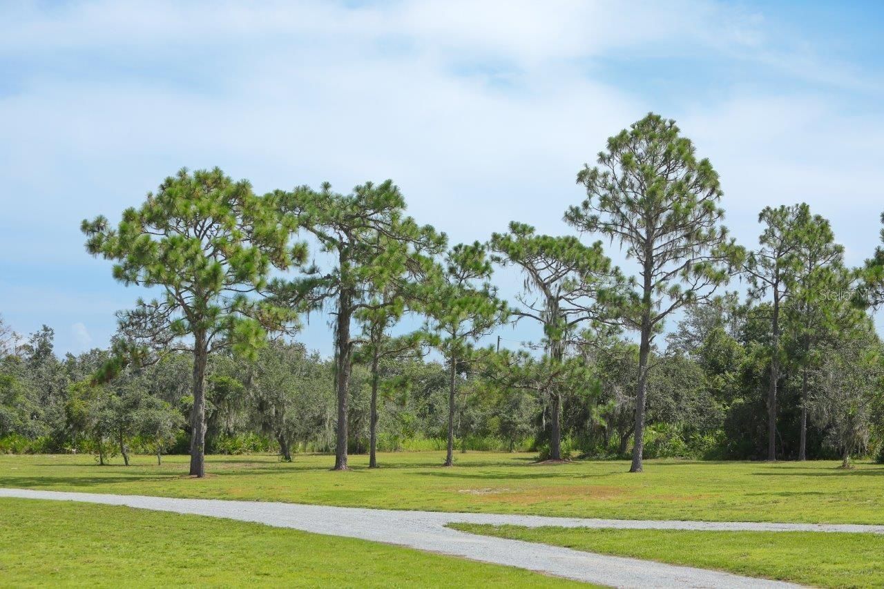 34452 Singletary Rd, Myakka City, FL 34251 Photo