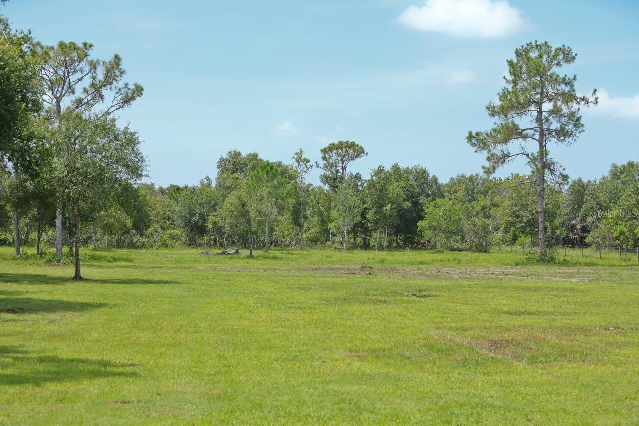 34452 Singletary Rd, Myakka City, FL 34251 Photo