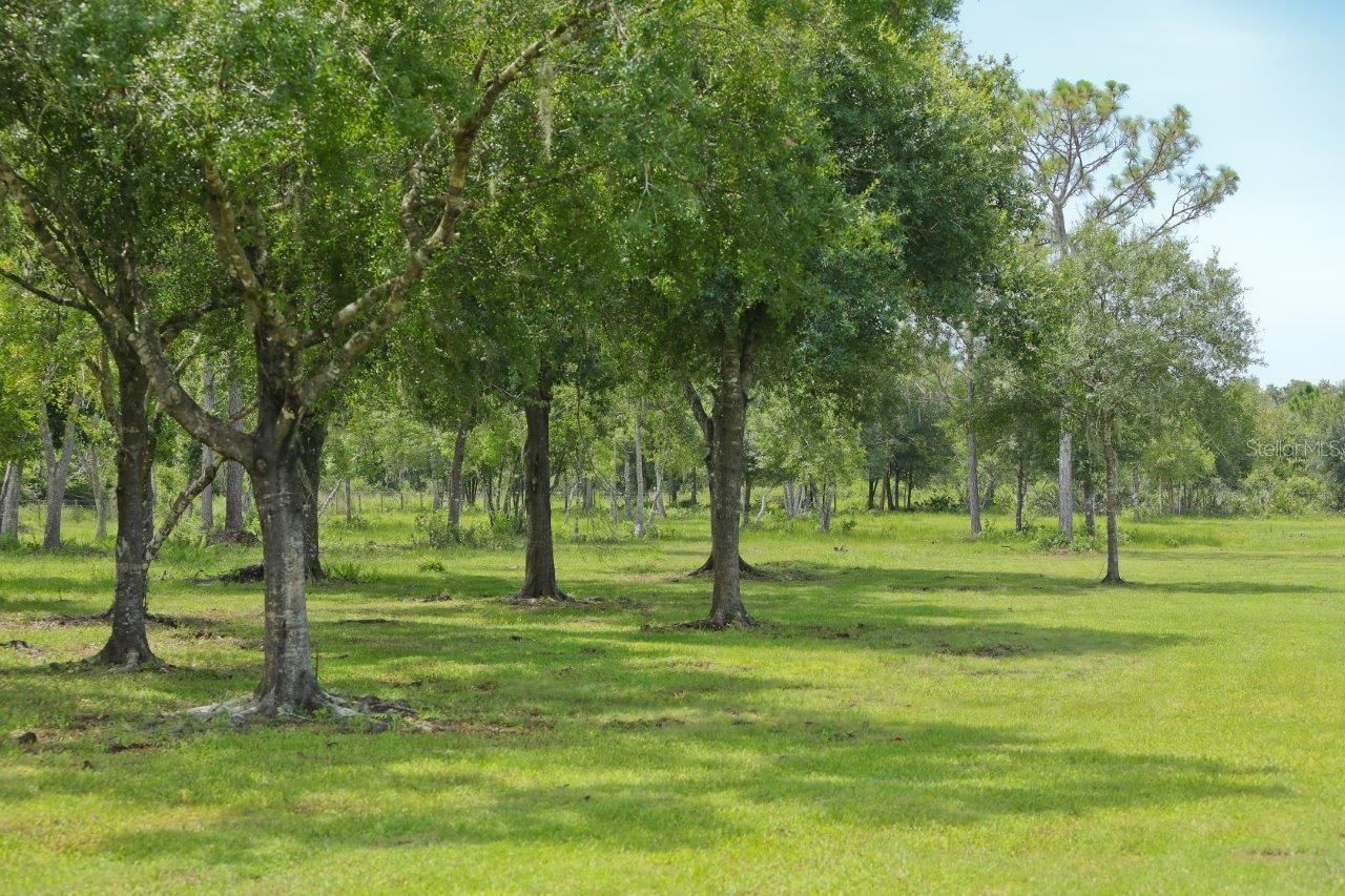 34452 Singletary Rd, Myakka City, FL 34251 Photo