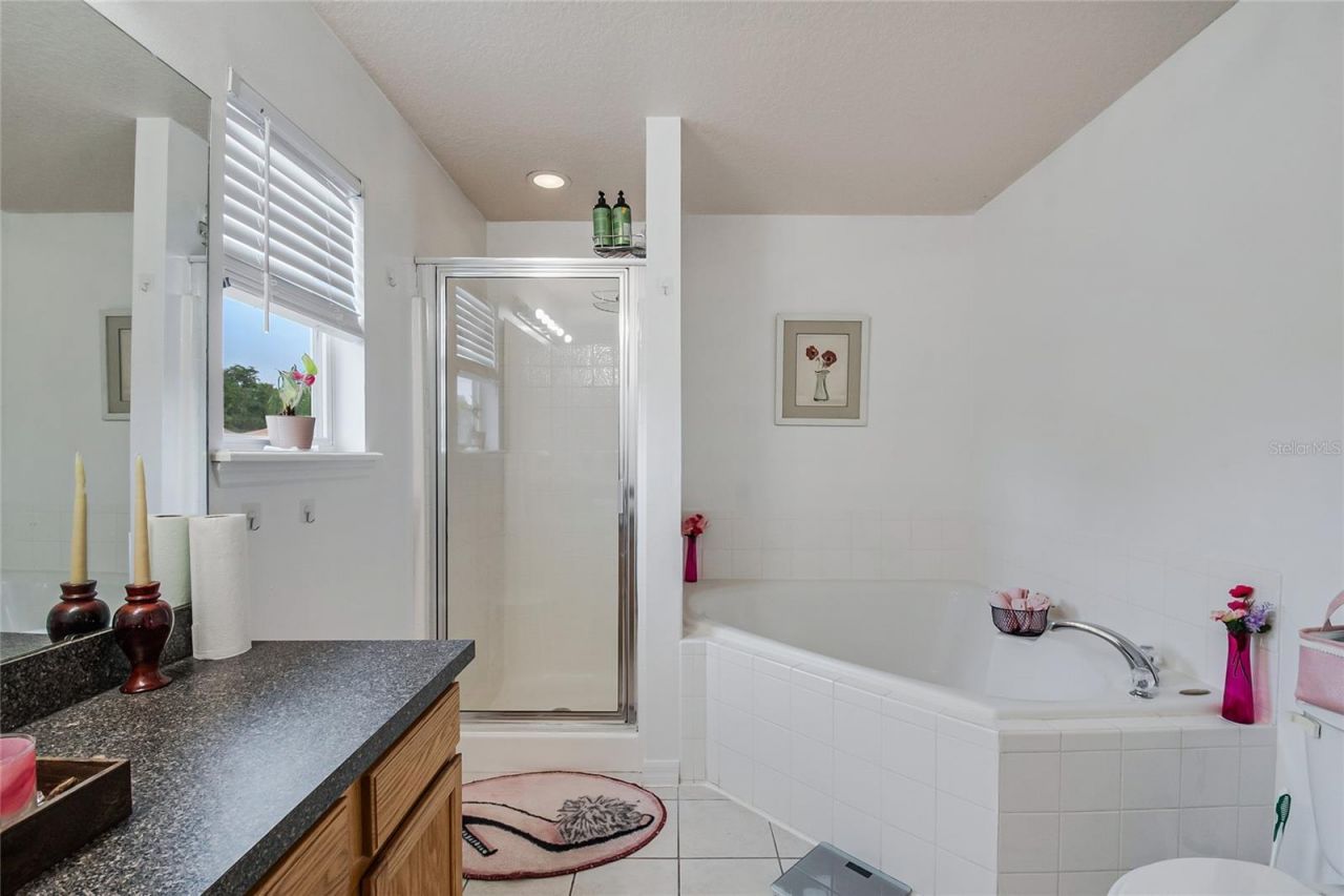 1228 Sandy Ridge Drive , Davenport, FL 33896 Photo
