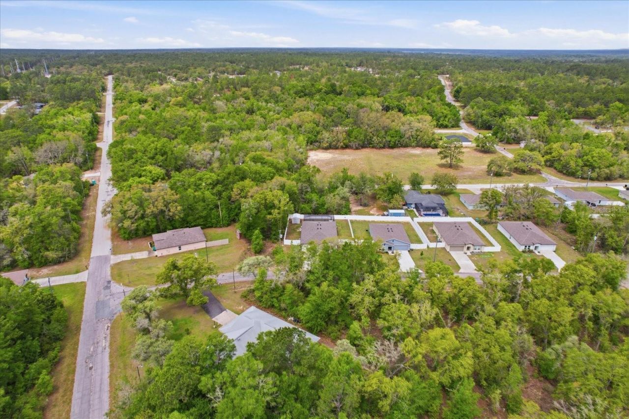 10116 N Allegheny Way , Citrus Springs, FL 34434 Photo