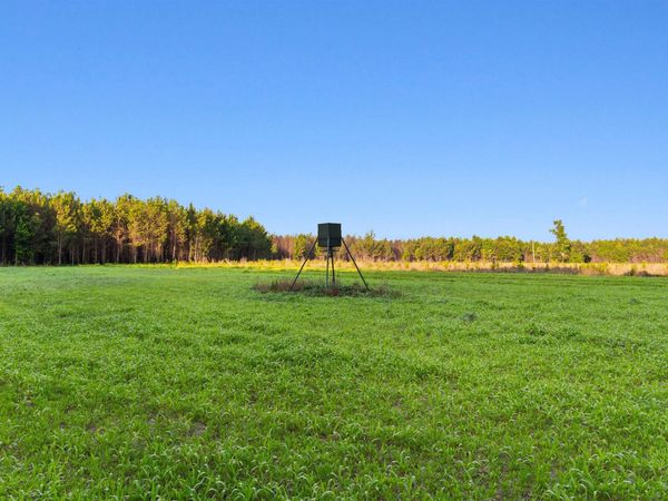 77 Acres - TBD Bert Hanna Rd. , Johnsonville, SC 29555