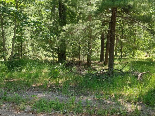 V/L Beverlyway Drive, Twin Lake, MI 49457