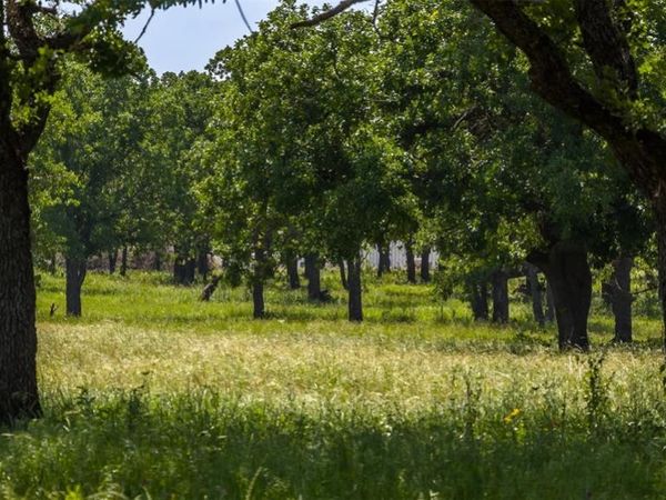 TBD County Road 126, Gordon, TX 76453