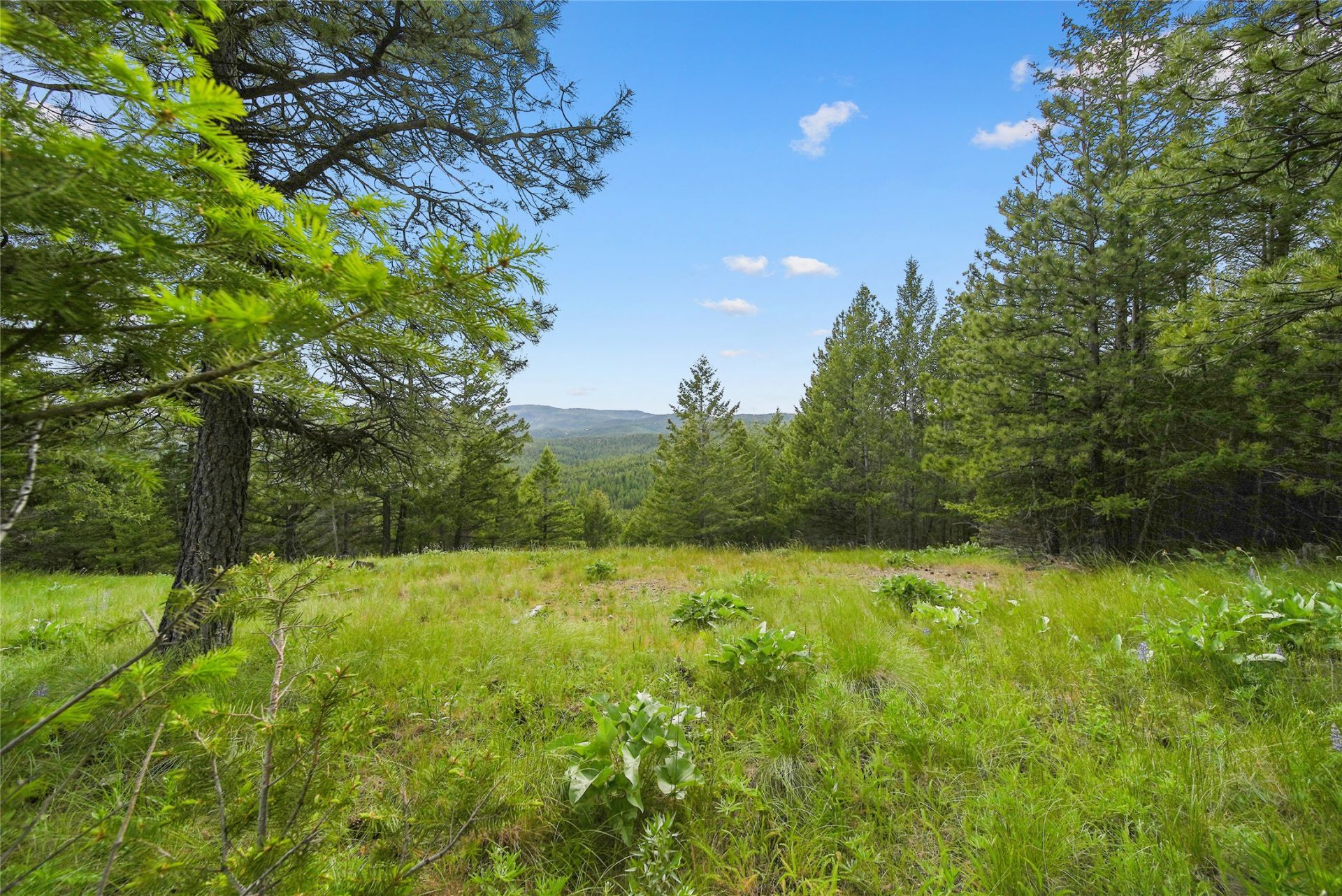 1895 Kienas Road, Kalispell, MT 59901 Main Photo