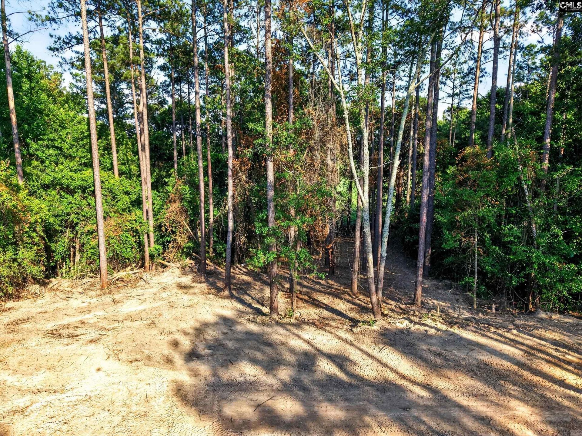 1223 Ancrums Ferry Road  Photo 37
