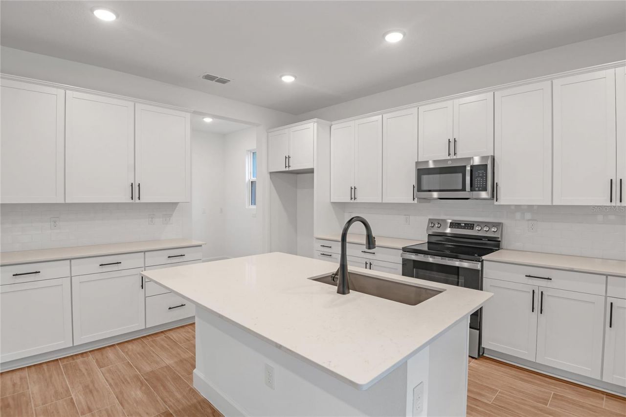 1042 Cloud Ridge Court , Mount Dora, FL 32757 Photo