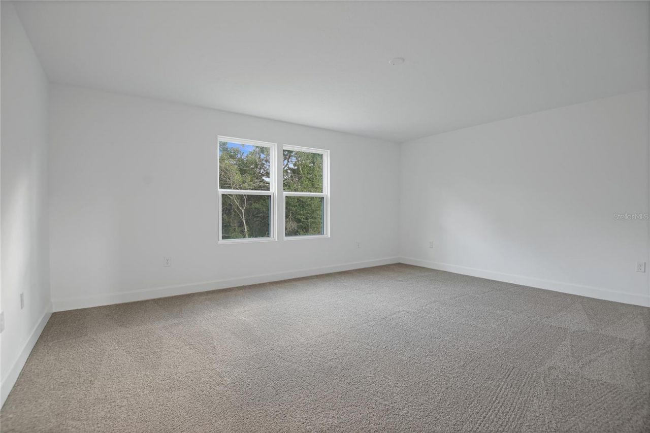 1042 Cloud Ridge Court , Mount Dora, FL 32757 Photo