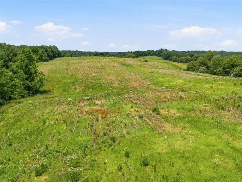 4731 State Route 555 , Little Hocking, OH 45742 Photo 16