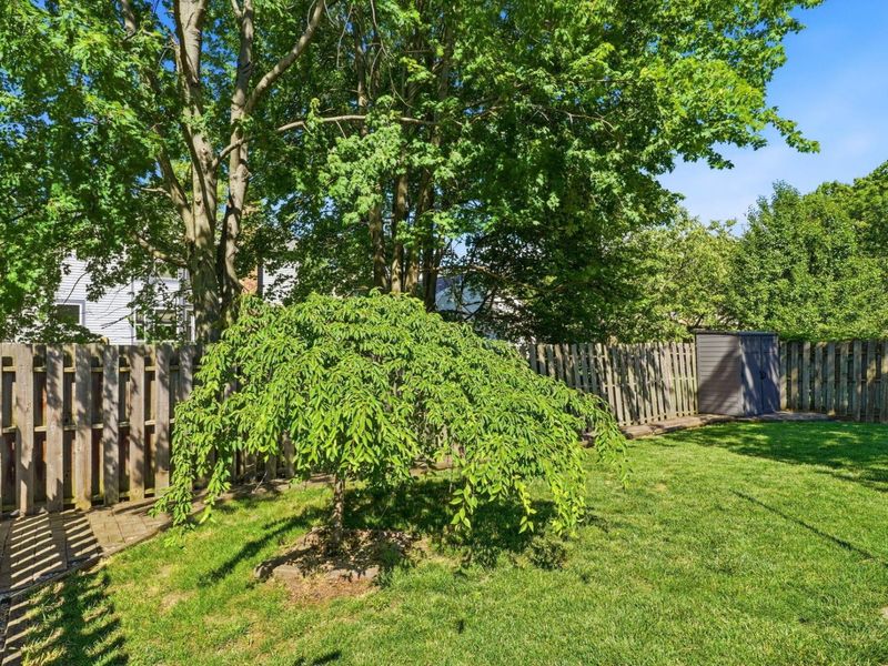7900 Leaview Drive, Columbus, OH 43235 Photo 49