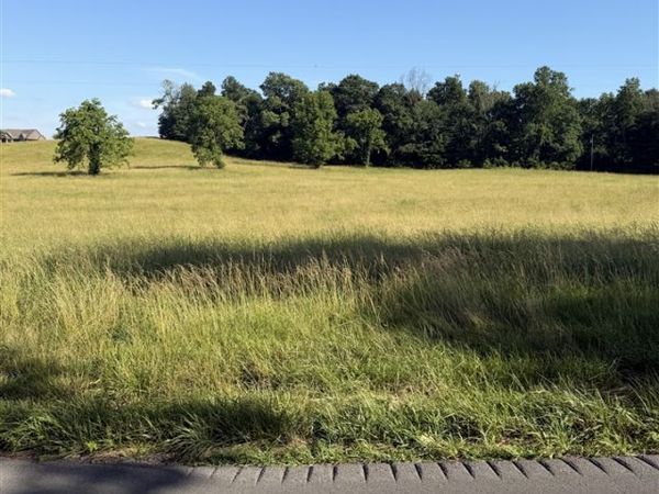 Lots 7 & 8 Meador Port Oliver Road , Scottsville, KY 42164